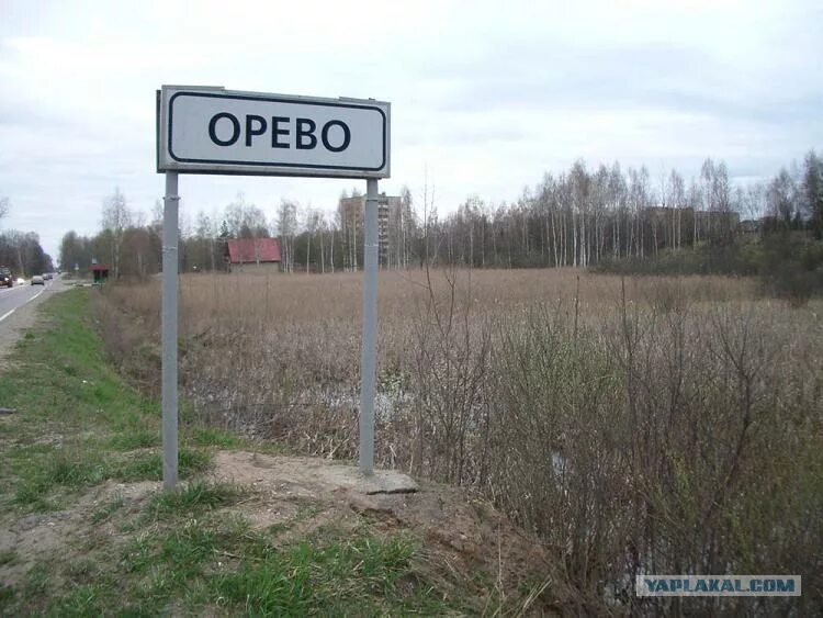 Орево дмитровский. Орево дмитровский. Орево дмитровский. Поселок орево дмитровский район. Парк советских скульптур на канале имени москвы орево.