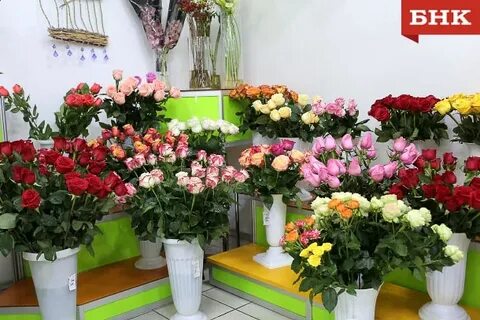 Цветочница анюта розы последняя