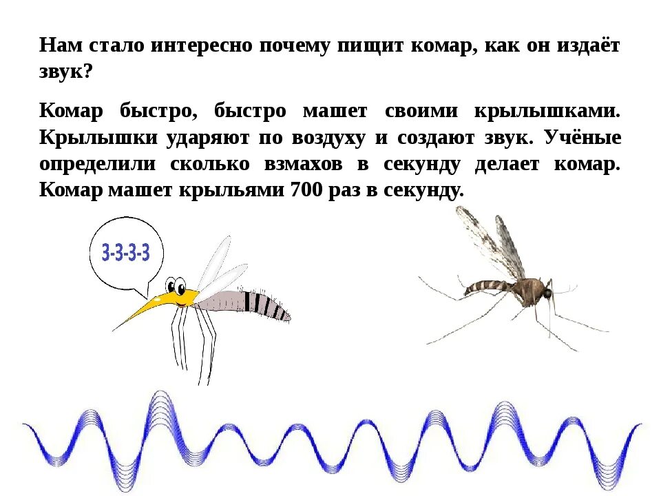 В небе слышалось сильное жужжание затем. Звук комара. Звук комаров. Жужжание комара. Почему комары пищат.