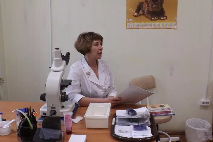 Сайт кожвендиспансер тверь. Сайт кожвендиспансер тверь. Сайт кожвендиспансер тверь. Больница кожно венерологический диспансер чебоксары. Справка в бассейн новосибирск.