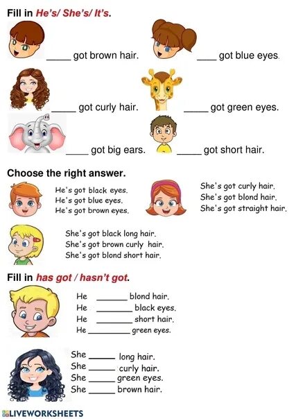 Have about. Have got has got worksheets 2 класс. have got has got упражнения 2 класс worksheets. have got has got worksheets 3 класс. have has got worksheets 2 класс.