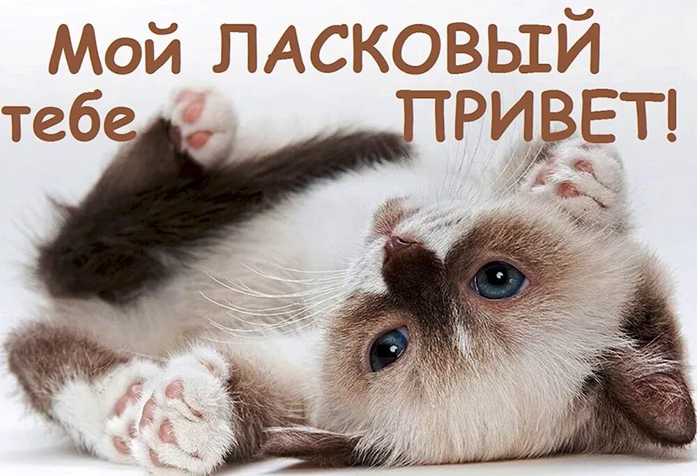 А я так жду ласковый