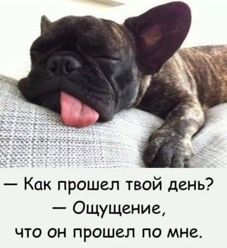 В конец устал. Усталость юмор. после тяжелого рабочего дн. шутки про усталость. как день прошёл.