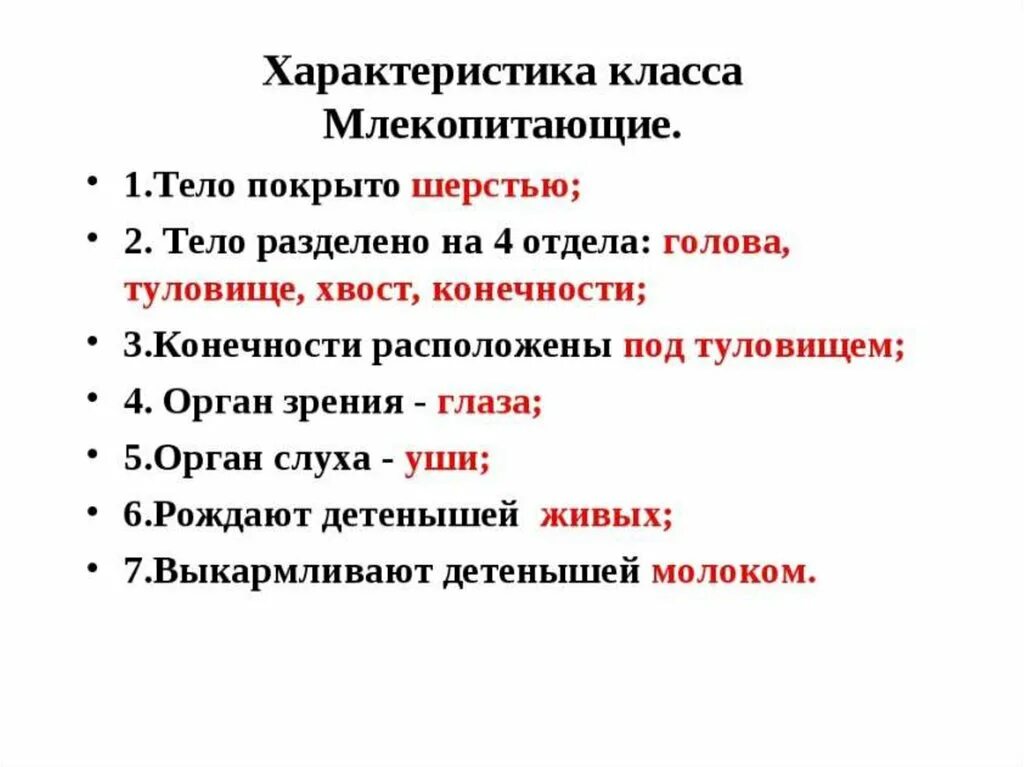 Общая характеристика млекопитающих. Общая характеристика класса млекопитающие 7 класс биология. Характеристика класса млекопитающие. Отряд млекопитающих общая характеристика. Высшие млекопитающие характеристика