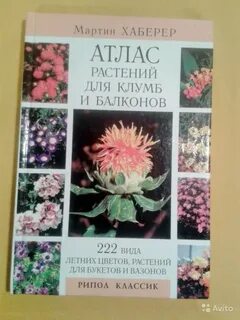 Атлас цветов