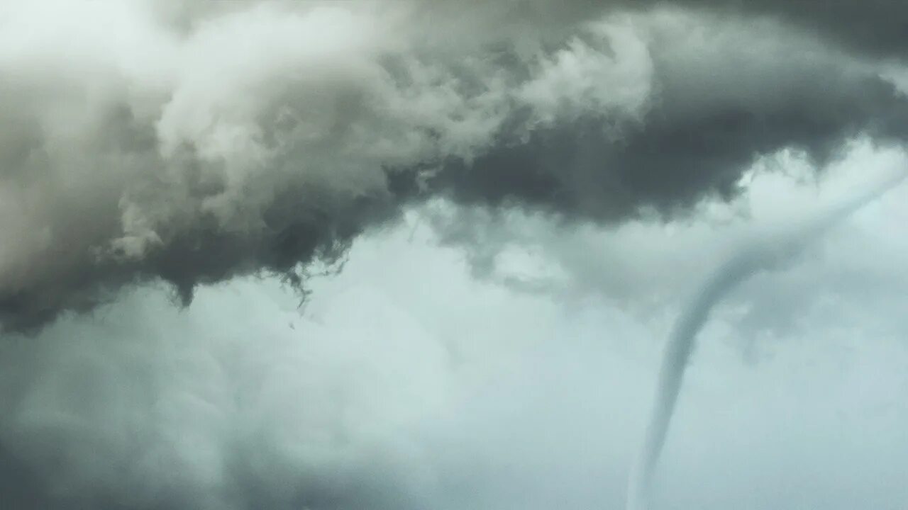 Tornado web
