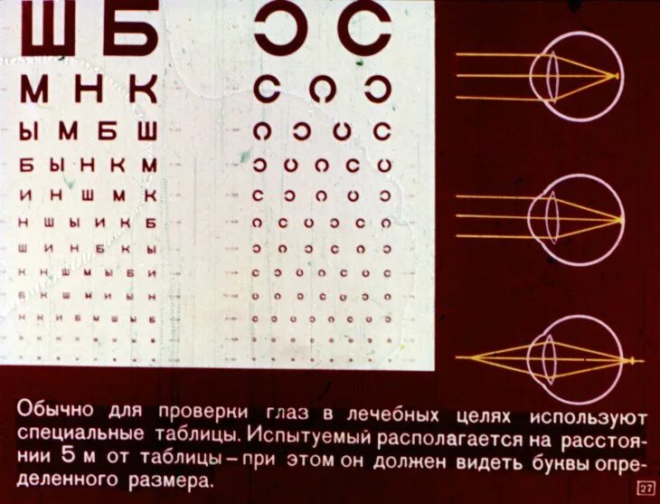 Орган зрения тест 8 класс биология. Нормальное зрение у человека. Градация зрения человека.
