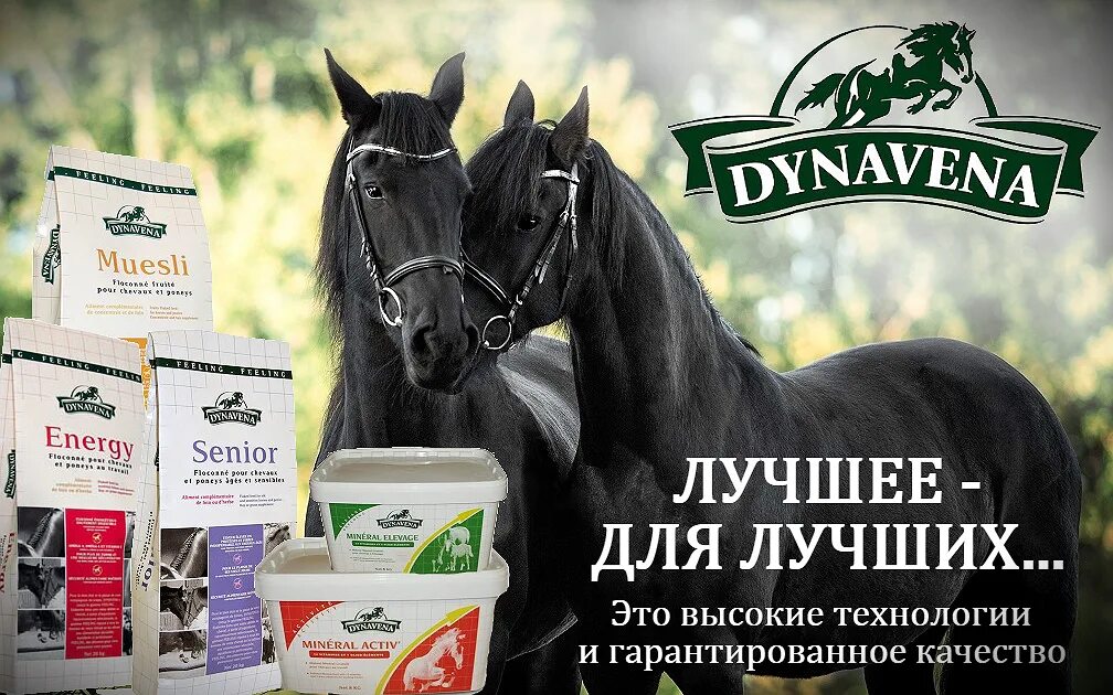 полка в зоомагазине. санкт петербург магазины корм для животных. зоомагазин полки с кормом. выкладка кормов для животных. корком интернет магазин для животных спб.