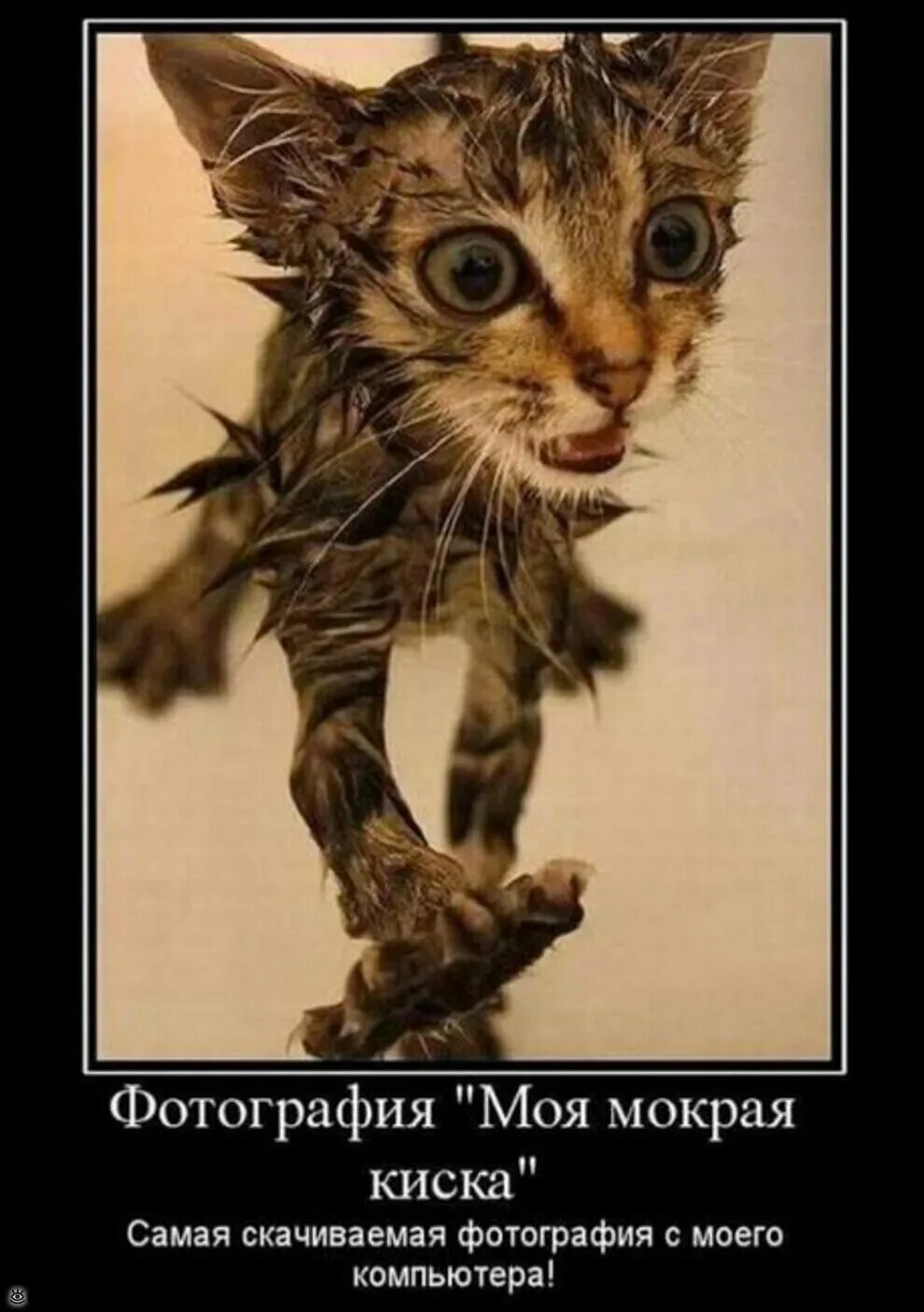 Одна рабыня это хорошо, но лучше когда в твоем распоряжении несколько влажных кисок 