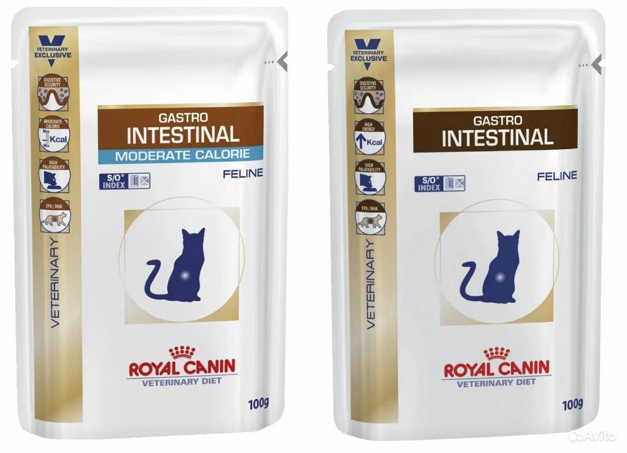 Royal canin gastrointestinal для кошек сухой. Гастро корм Роял Канин гастро Интестинал для кошек. Пауч Интестинал Роял Канин для кошек. Роял Канин Интестинал для кошек. Роял Канин гастро Интестинал для кошек пауч.