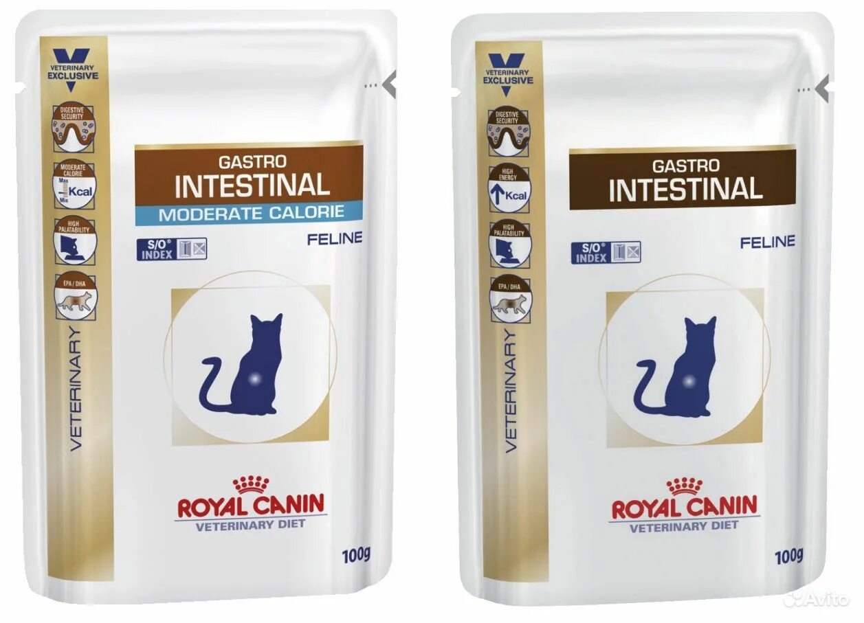 Royal canin gastro кошки. Гастро корм Роял Канин гастро Интестинал для кошек. Пауч Интестинал Роял Канин для кошек. Роял Канин Интестинал для кошек. Роял Канин гастро Интестинал для кошек пауч.