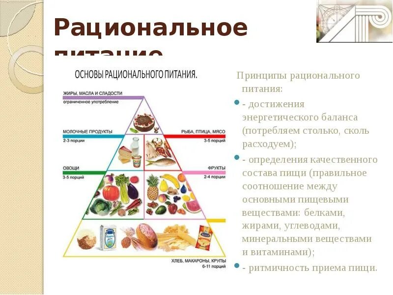 Рациональное питание. Основы рационального питания. Основы рационального питания сообщение. Составляющие рационального питания. Здоровое рациональное питание.