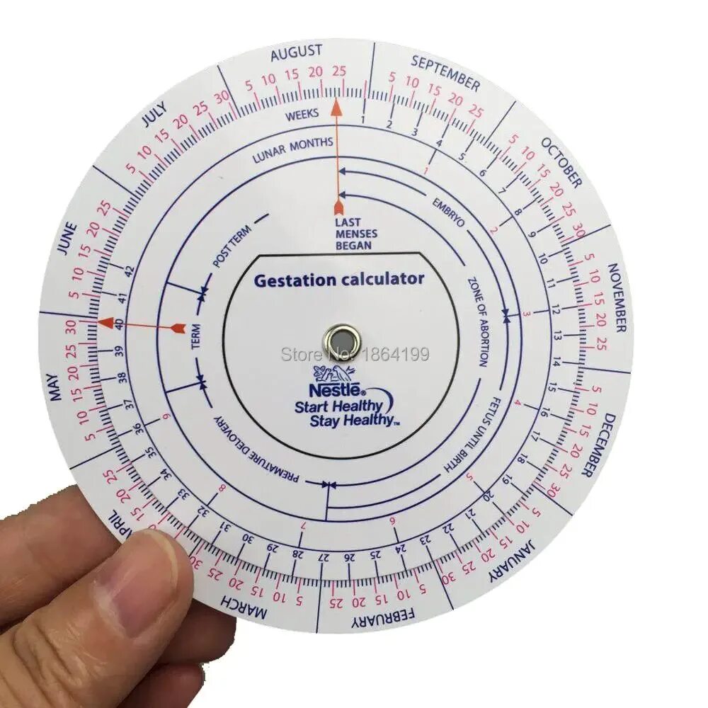 Расчет возраста по дате рождения калькулятор. Калькулятор беременности. Калькулятор beremennosti. Колесо для беременных. Калькулятор для беременных.
