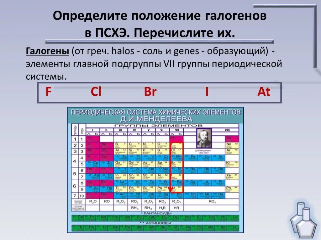 Положение галогенов в периодической системе. Элементы VII группы главной подгруппы. Группы и подгруппы химических элементов. Положение галогенов в ПС.