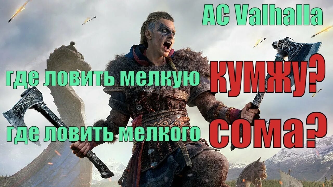 Кумжа ассасин Вальгалла. Кумжа мелкая Вальгалла. Кумжа мелкая Assassin's Creed. Мелкий кумжа ассасин Крид. Найти гребень assassins