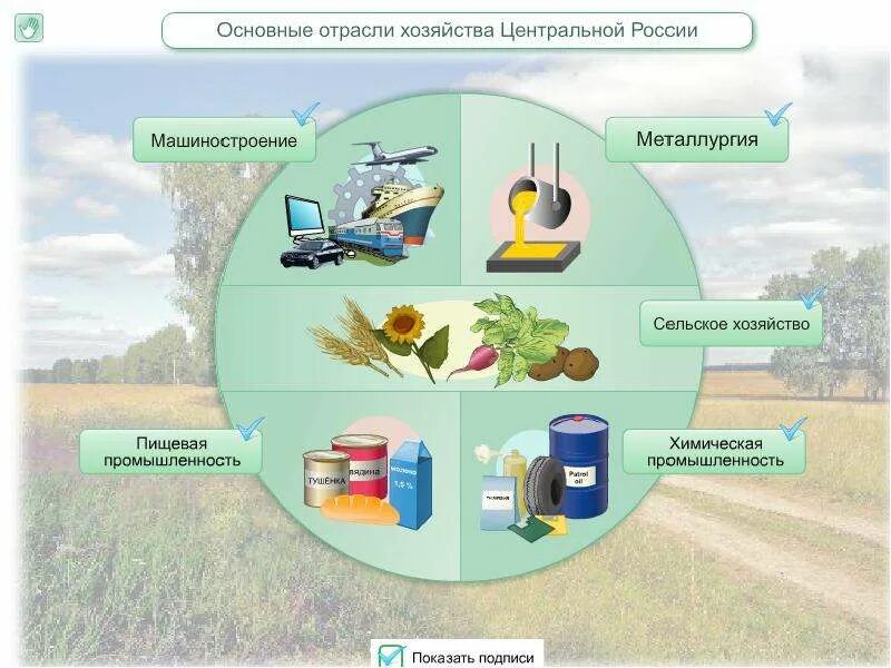 Основные отрасли. Хозяйство центрального района России. Промышленность и сельское хозяйство центральной России. Основные отрасли хозяйства центральной России. Хозяйство центральной России промышленность.