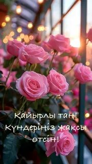 Қайырлы таң гүлдер фотосы
