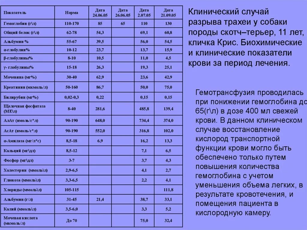 Показатели крови у собак норма. Норма Глюкозы в крови у собак. Норма гемоглобина у щенка. Норма сахара в крови у собак мелких пород.