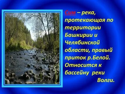 Сообщение сим