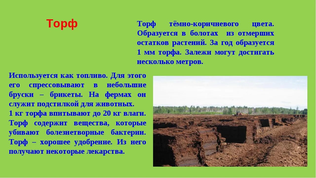 Торф свойства 4 класс окружающий мир. Сообщение о торфе. торф полезное ископаемое. полезные ископаемые торф. торф образуется.