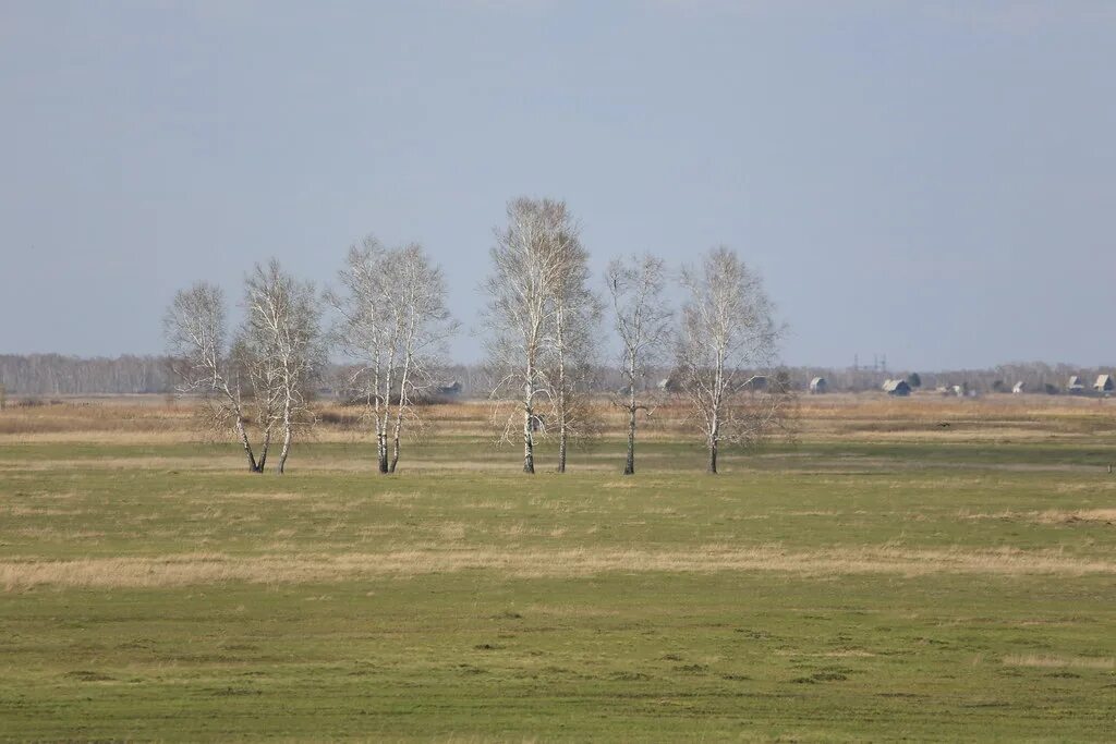 Деревня Тармакуль. Озеро Тармакуль. Тармакуль Чановский район. Деревня Тармакуль Новосибирской области.