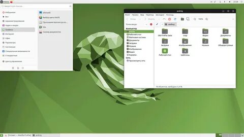Linux environment