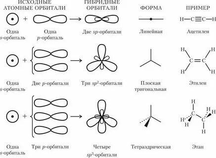 Типы гибридизации углеводородов