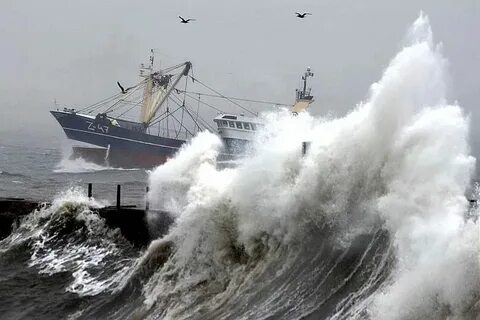 Storm пресейл