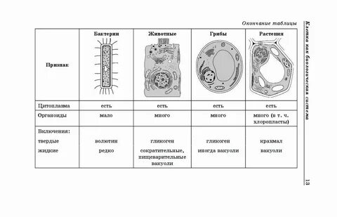Скачать картинку АППАРАТЫ КЛЕТКИ ТАБЛИЦА № 54