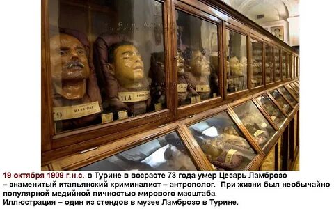 Музей всяких редкостей