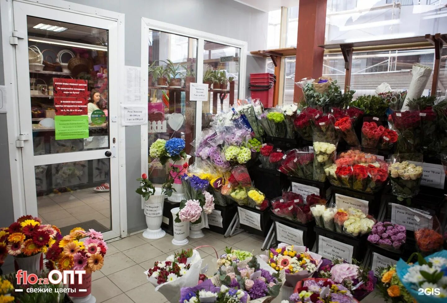 цветы никольское. питомник в никольском белгородской. цветы никольское. цветы никольское. эустома цена за штуку барнаул.