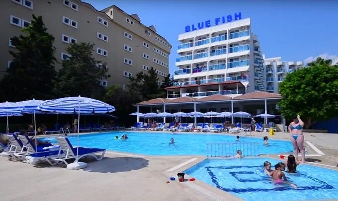 Блю фиш турция аланья. Blue Fish отель Турция. Blue Fish Hotel 4 Турция. Блу Фиш Турция Аланья 4. Блю Фиш отель в Турции 2022.