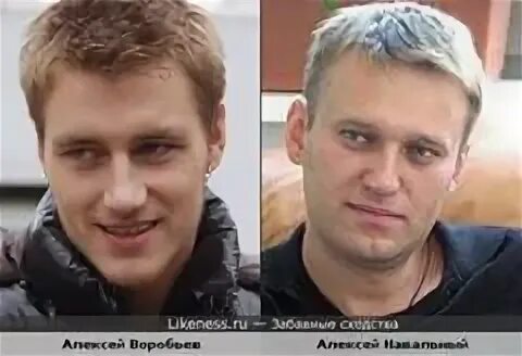 Воробьев похож