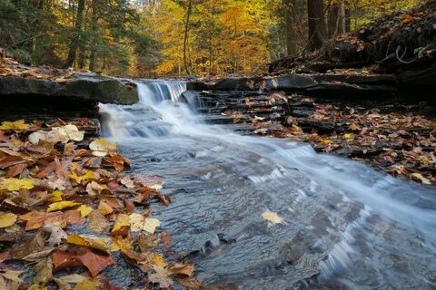 Autumn falls