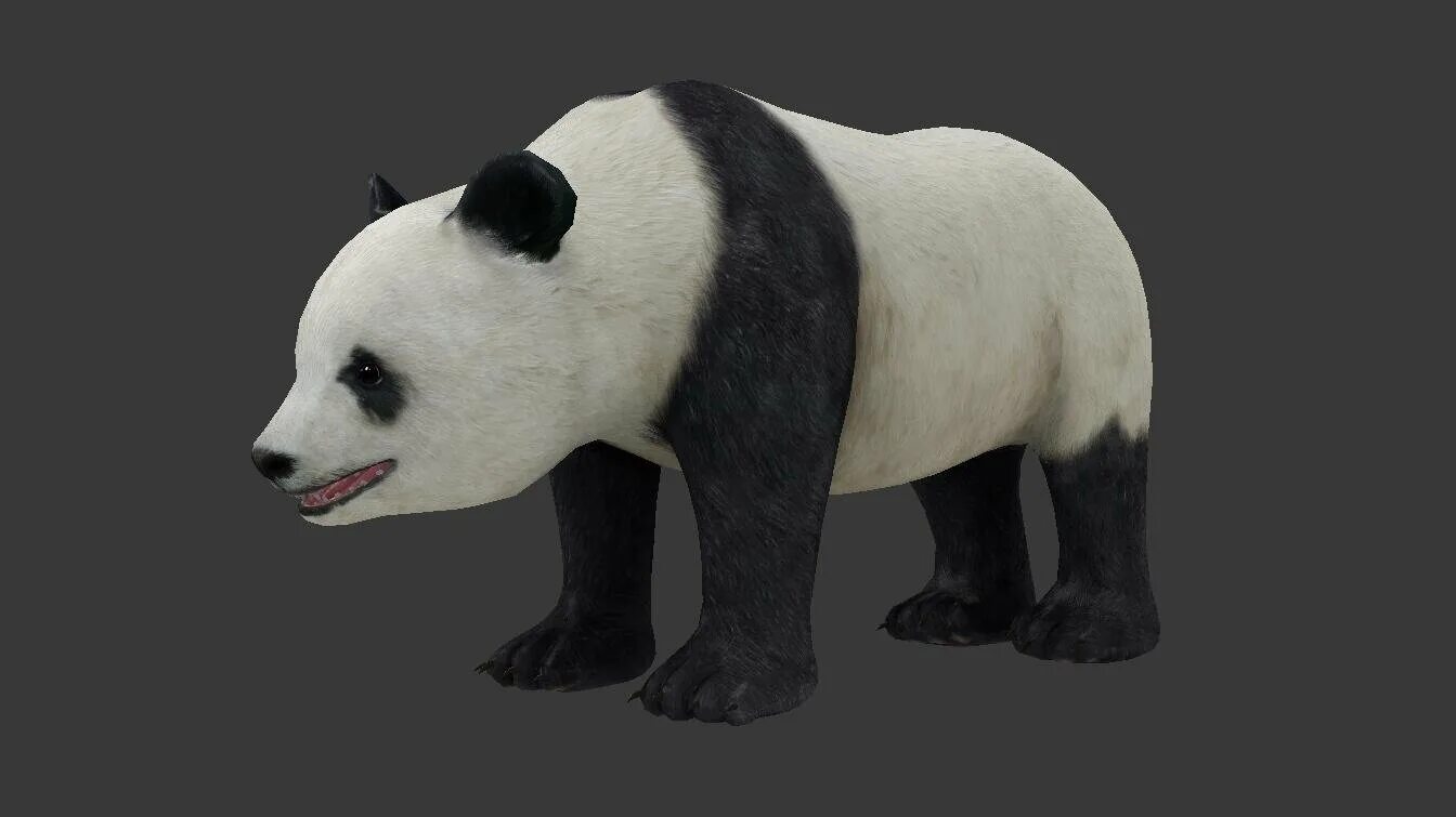 9pandas 3d