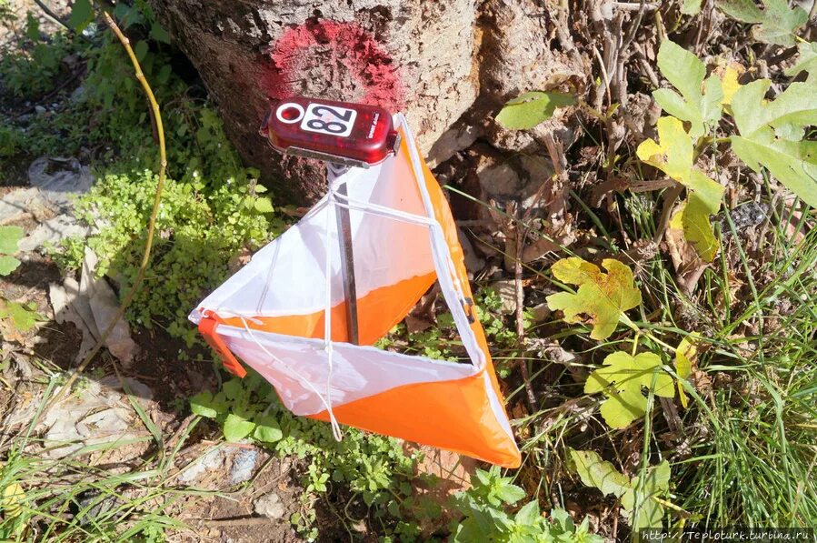 Призма в лесу спортивное ориентирование. Кп ориентирование. Спортивное ориентирован. Кп ориентирование. Контрольный пункт ориентирование призма.