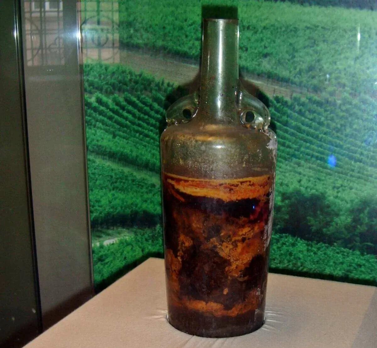Самое первое вино. Römerwein von Speyer вино. Вино из Шпайера. Самое старое вино в мире. Старинная бутылка вина.
