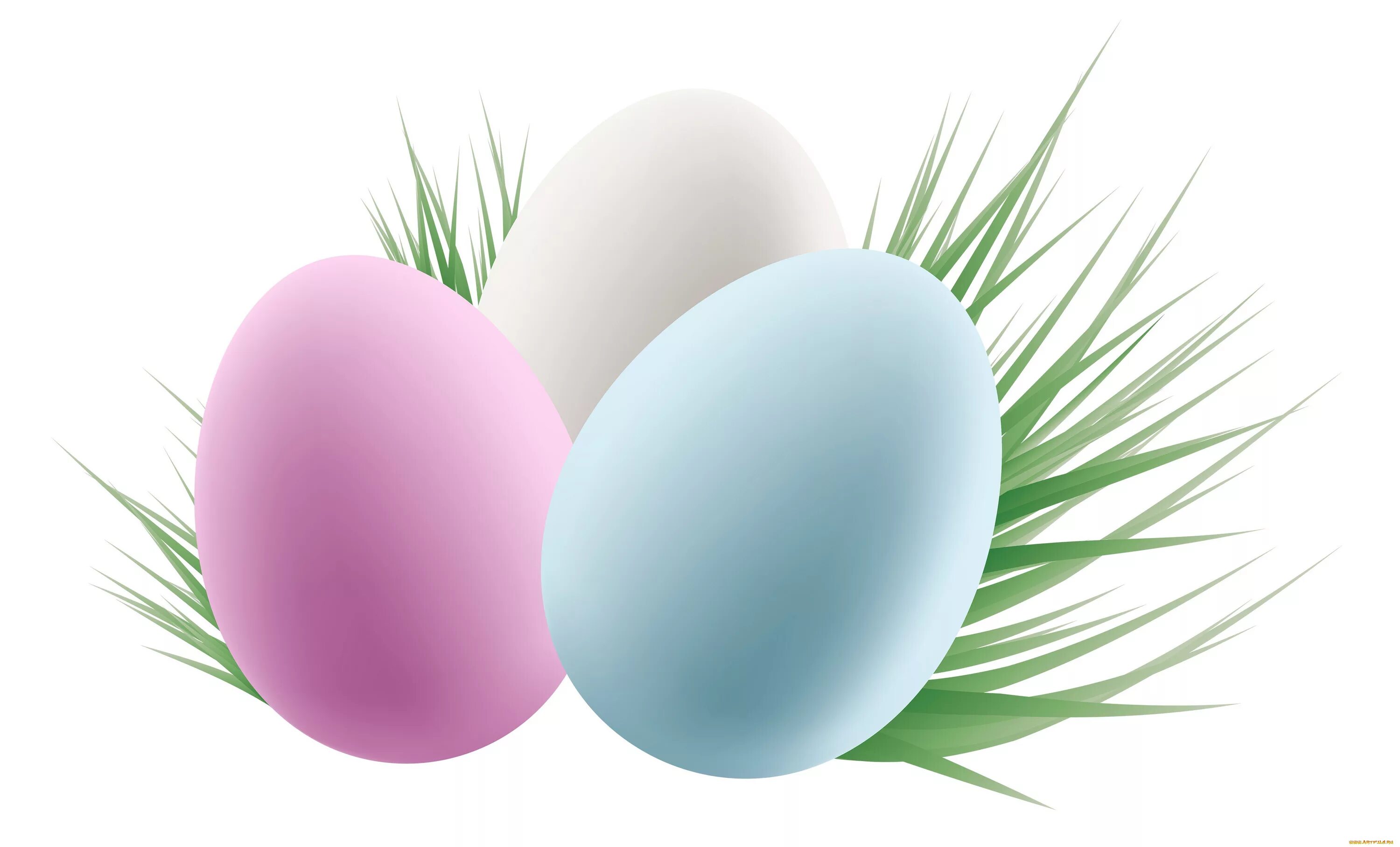 Пасхальные яйца пнг. Пасхальное яйцо. Пасхальные яйца на белом фоне. Пасхальные яйца на прозрачном фоне. Яйца на Пасху на белом фоне.