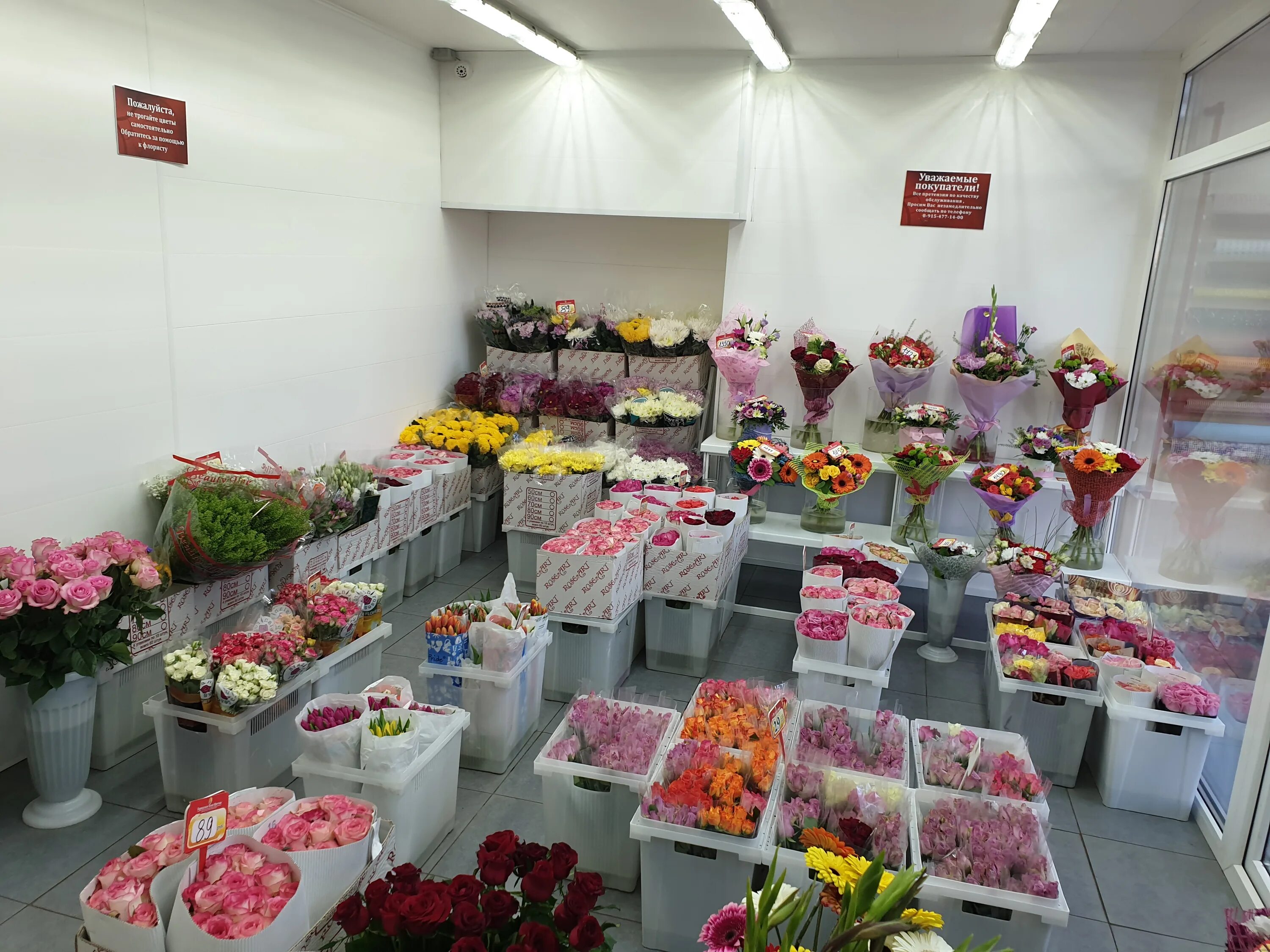 цветы фрязино. букет цветов купить недорого во фрязино. каприз цветок. оптовый склад цветов. букеты в сочи с доставкой.