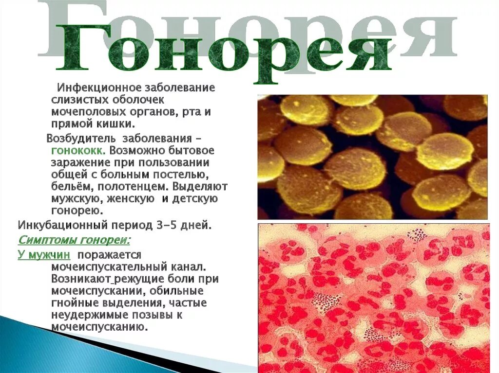 Сколько лечится гонорея. Инфекционные заболевания гонорея. Гонорея инфекционное заболевание вызываемое. Гонорея это простыми словами.