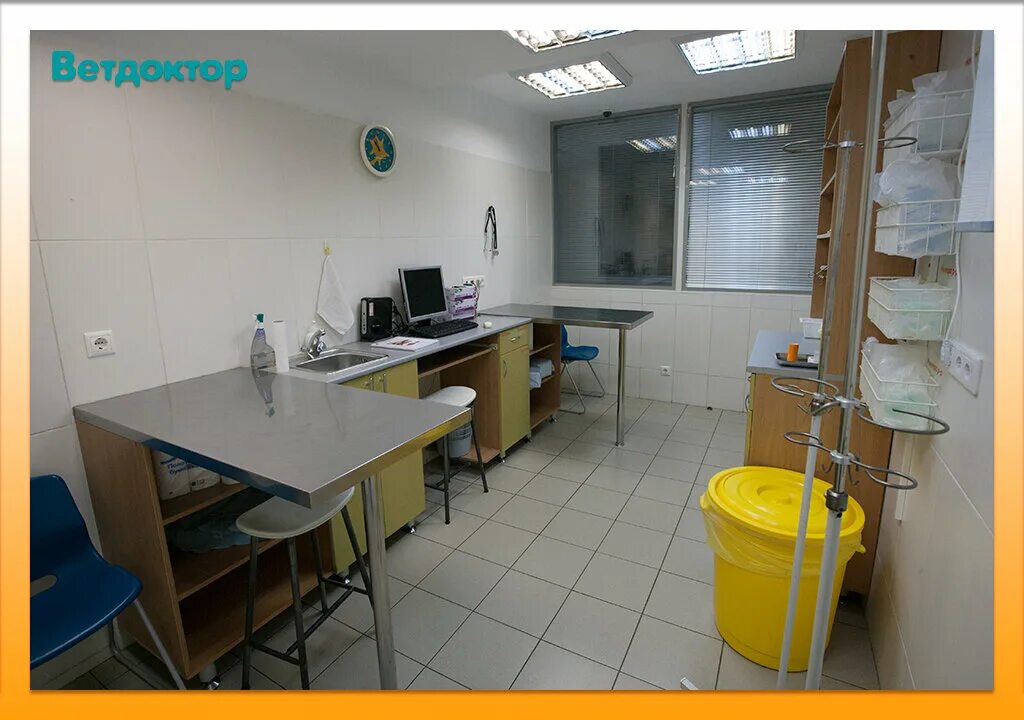 ветдоктор химмаш. ветдоктор химмаш. ветдоктор екатеринбург профсоюзная 55. ветдоктор химмаш. ветдоктор воронеж.