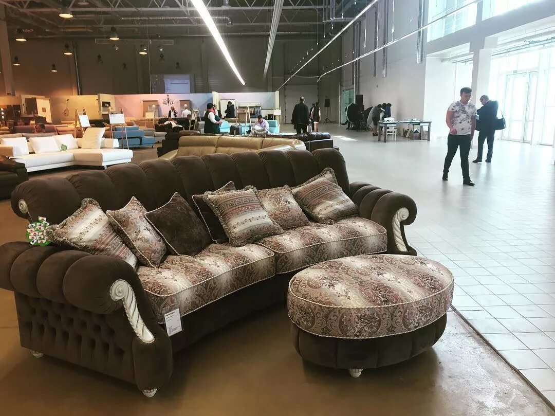 пинскдрев витебск