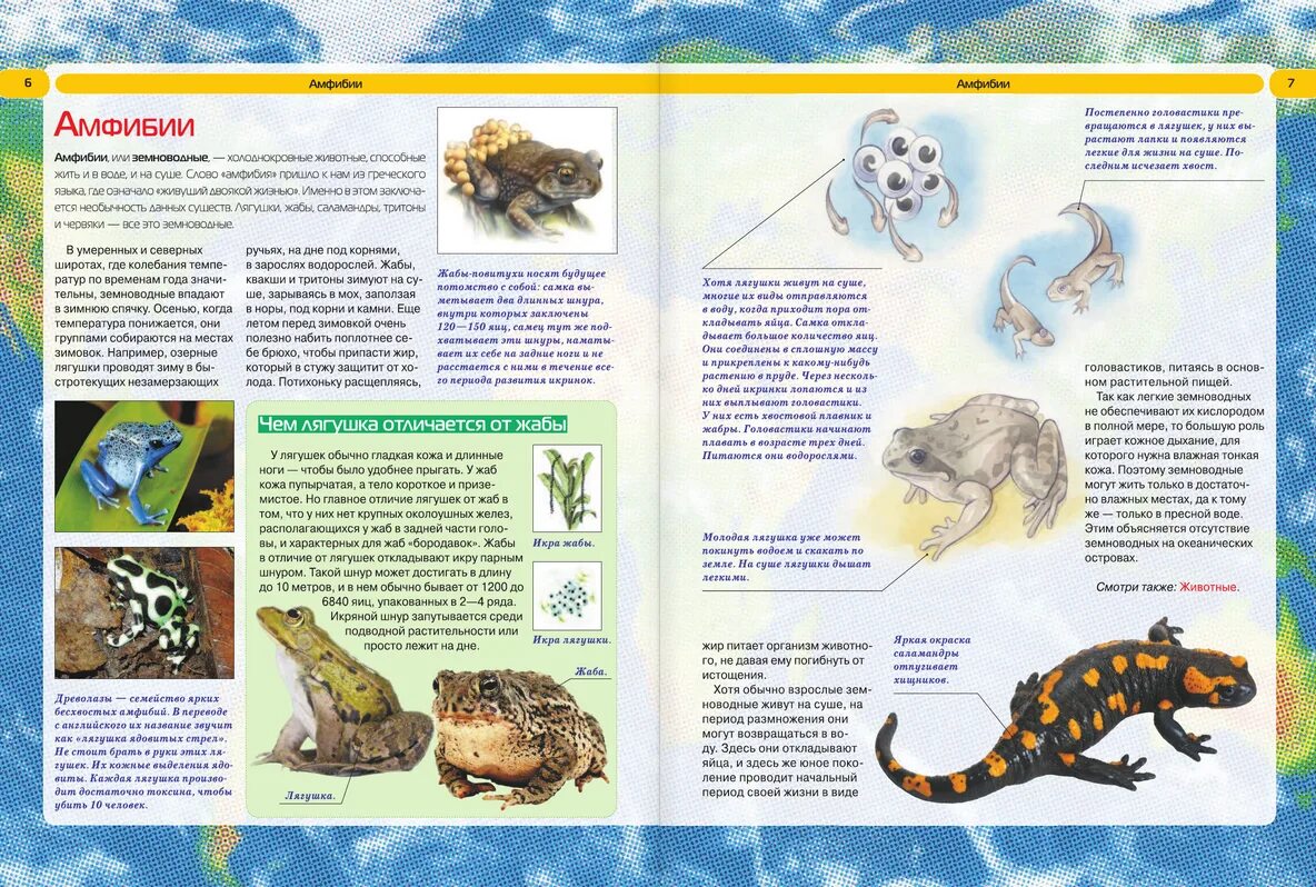 Энциклопедные страницы. Детям обо всём на свете. Страница энциклопедии. Энциклопедия животных для детей. Российская энциклопедия в 12 томах.