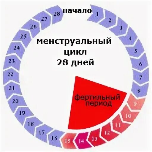 Перерыв между циклами
