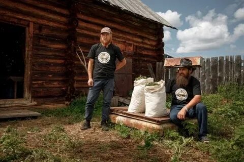Таежные истории жизнь в глубинке