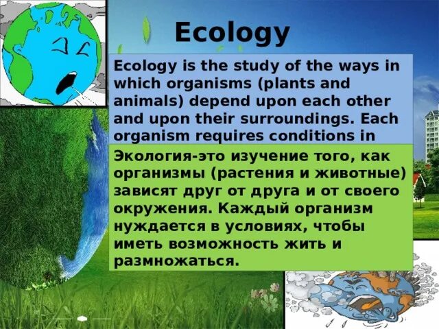 Презентация на английском языке про экологические проблемы. Экология на уроках английского языка. Экология языка презентация. Презентация по английскому языку экологические проблемы. Презентация экология английский