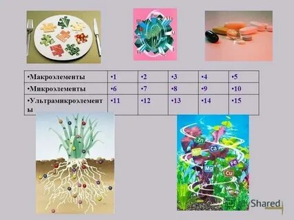 Макроэлементы 1 и 2 группы