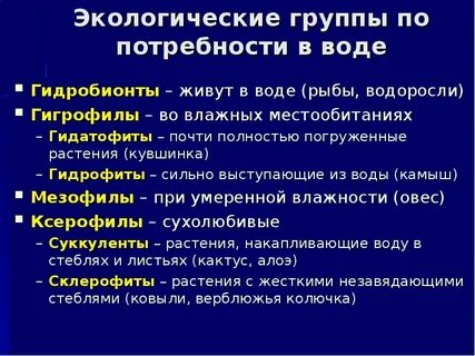 Экологические группы это