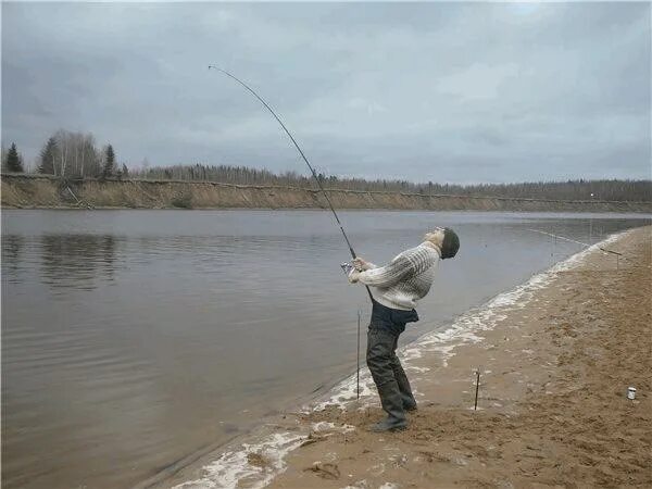 Гифка ловлю. Приколы на рыбалке. Гифки рыбалка. Прикольные гифки про рыбалку. Гифки про рыбалку смешные.