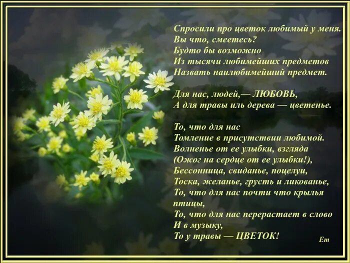 Цветов цветов еще цветов. Стихи про цветов. Стихи про цветы. Стихи про цветы красивые. Стихи о цветах короткие красивые.